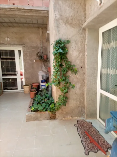 Vente Immeuble Sétif El ouricia