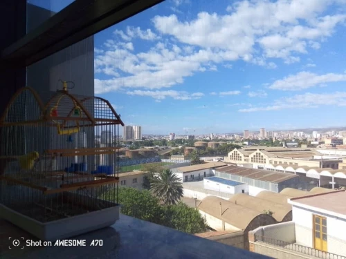 Location Appartement F3 Oran Oran