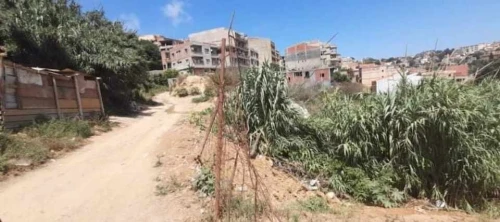 Vente Terrain Alger Bouzareah