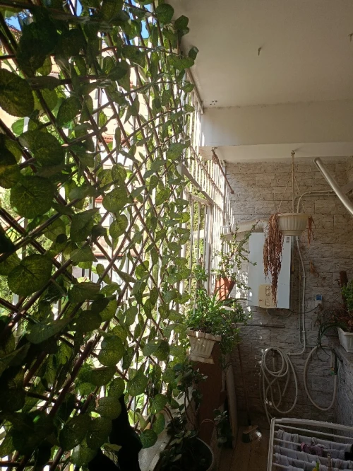 Vente Appartement F3 Alger Birkhadem