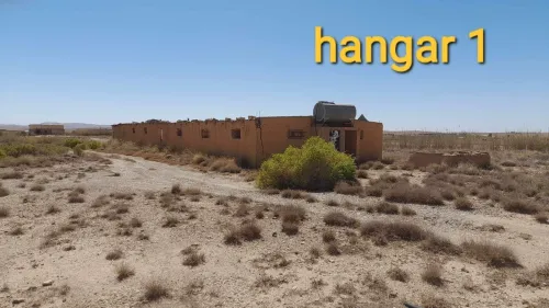Vente Terrain Agricole Djelfa Ain el ibel