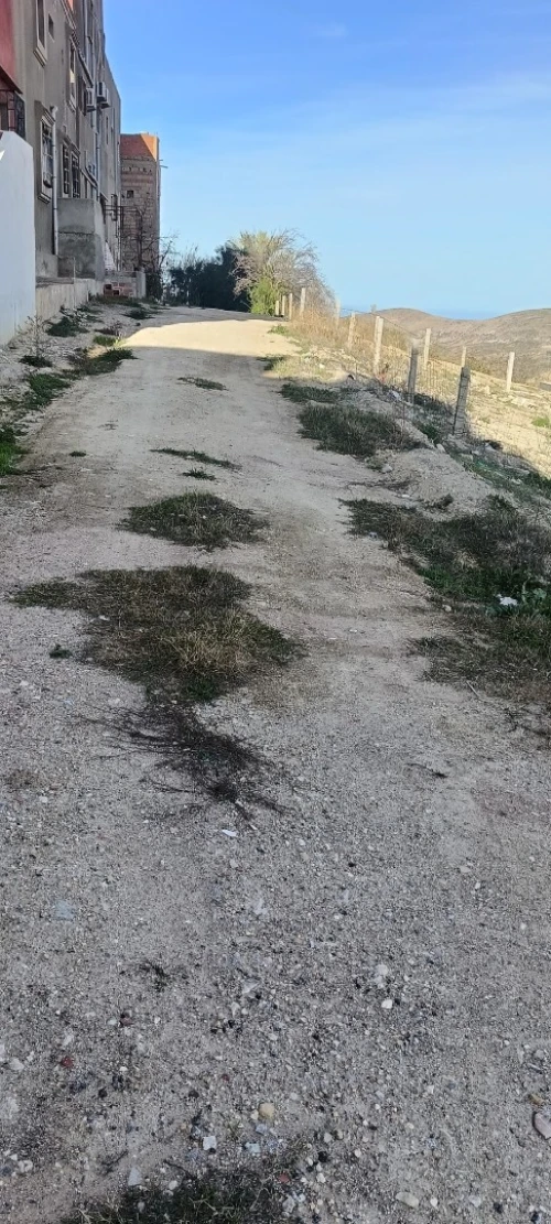 Vente Terrain Tlemcen Msirda fouaga