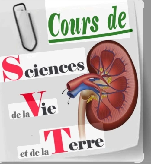 Prof de sciences naturelles