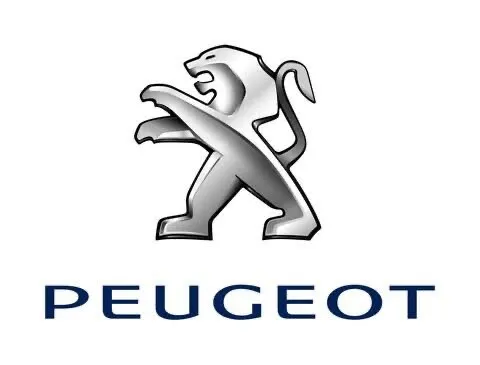 PARE BRISE PEUGEOT 207 208 308 
