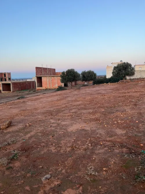 Vente Terrain Mostaganem Sidi lakhdaara