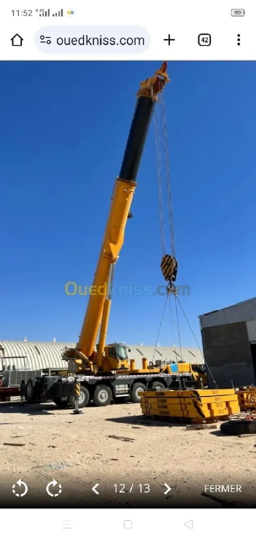 Location Grue 70tn.0793509033