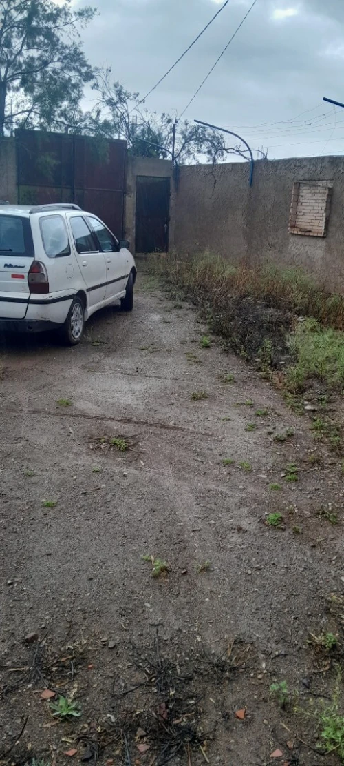 Fiat Palio 2002 Palio