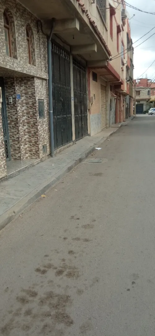 Location Local Blida Ouled yaich