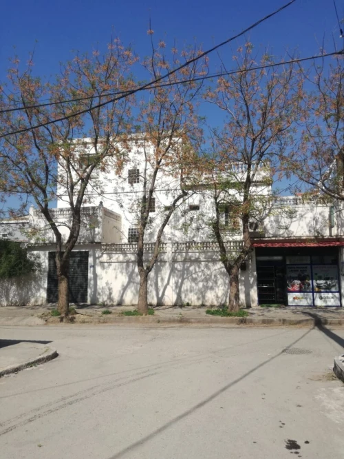 Vente Villa Blida Beni mered