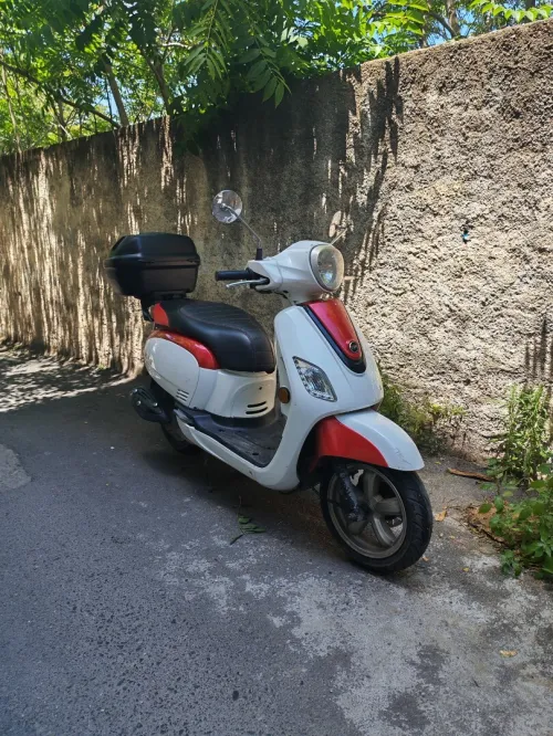 Sym Fiddle 3 2018