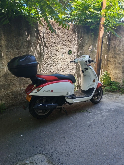 Sym Fiddle 3 2018