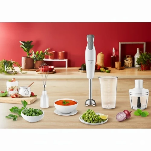Bras Mixeur Plongeant 3en1 Moulinex DailyChef 600W - 2 Vitesses avec Hachoir, Fouet et Verre doseur