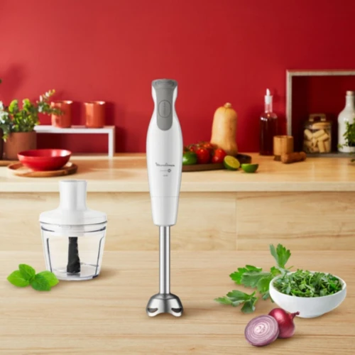 Bras Mixeur Plongeant 3en1 Moulinex DailyChef 600W - 2 Vitesses avec Hachoir, Fouet et Verre doseur