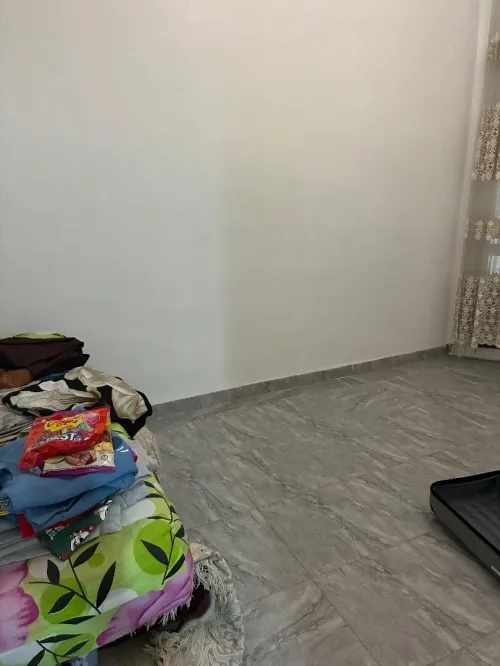 Location Appartement Studio Alger Belouizdad