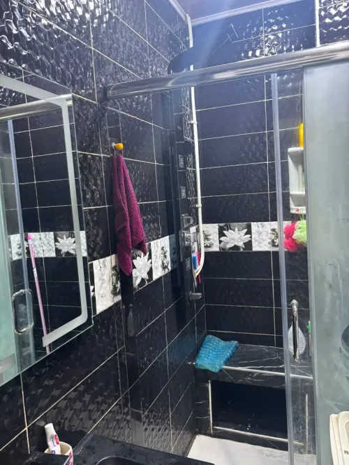 Location Appartement Studio Alger Belouizdad
