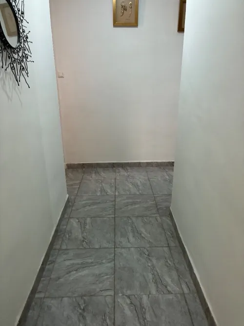Location Appartement Studio Alger Belouizdad