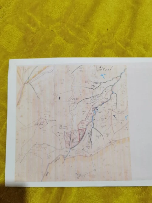 Vente Terrain Agricole Blida Larbaa