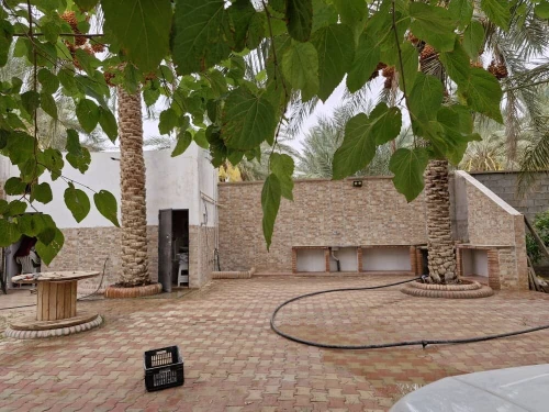 Vente Terrain Agricole Ouled Djellal Sidi Khaled