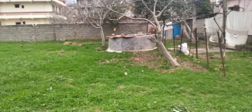 Vente Terrain Alger Reghaia