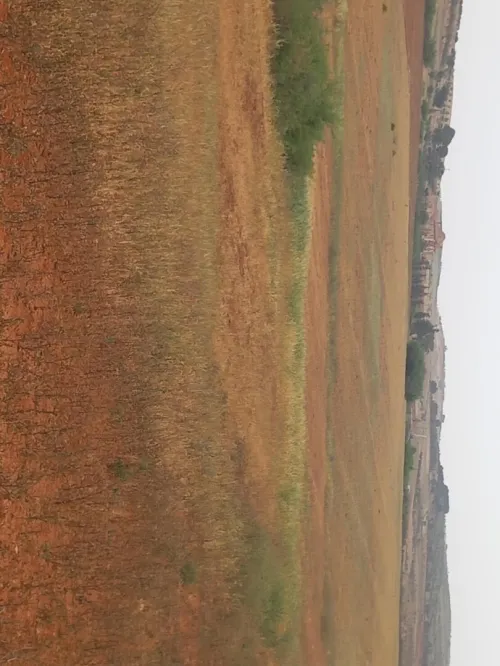 Vente Terrain Agricole Mascara El keurt