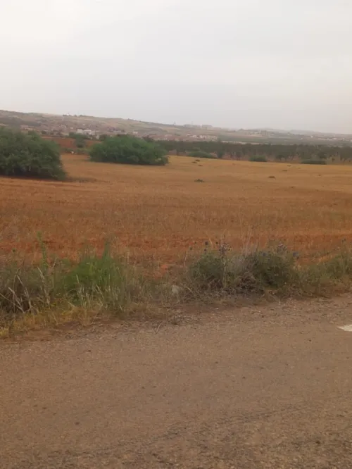 Vente Terrain Agricole Mascara El keurt