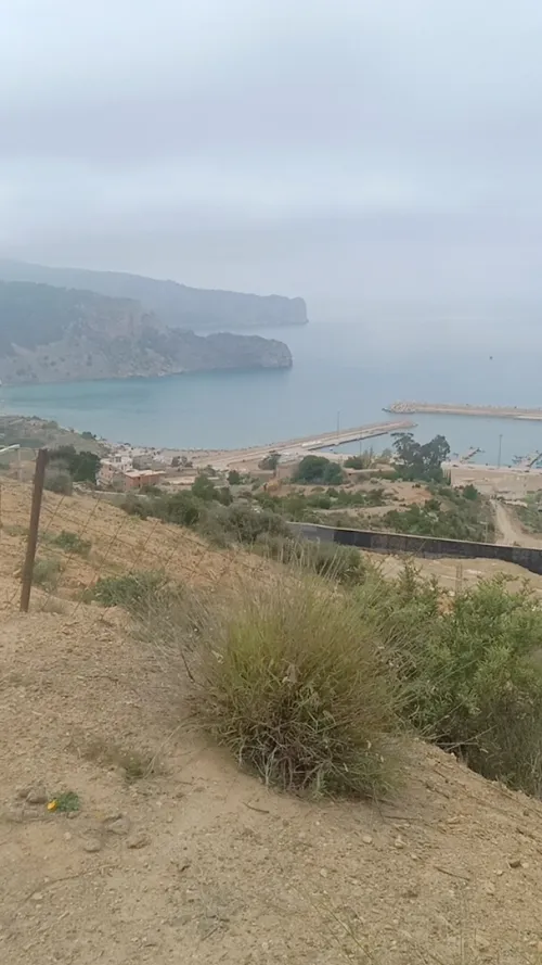 Vente Terrain Tlemcen Dar yaghmouracene