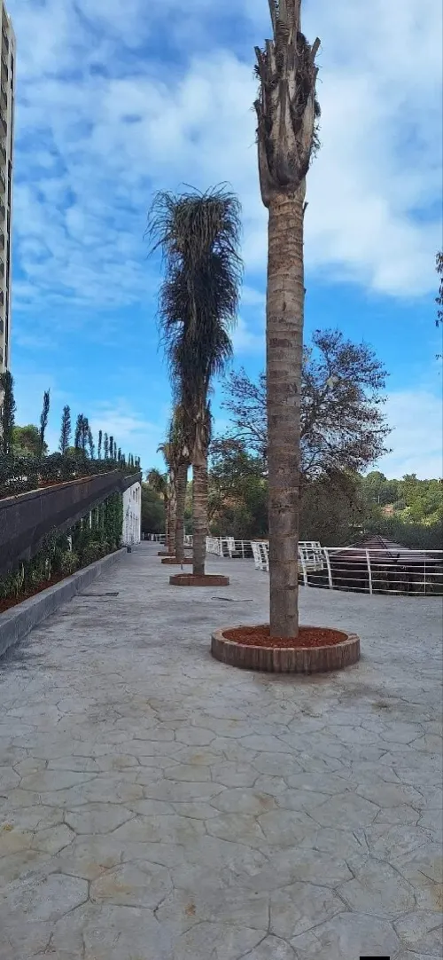 Location Appartement F3 Tipaza Kolea