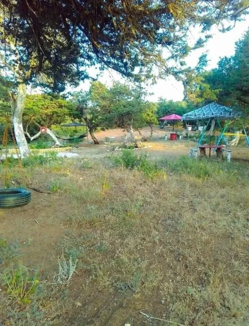 Location Bungalow Mostaganem Sidi lakhdaara