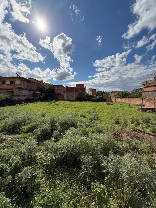 Vente Terrain Blida Bouinan