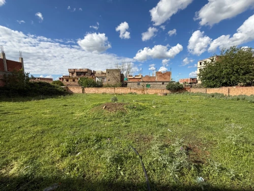 Vente Terrain Blida Bouinan