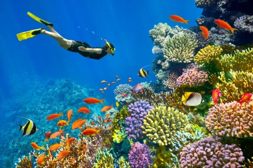 PROMO SHARM EL SHEIKH LE CAIRE COMBINE Mars / رحلة شرم الشيخ و القاهرة  مارس