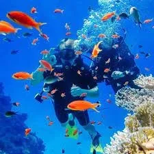 PROMO SHARM EL SHEIKH LE CAIRE COMBINE Mars / رحلة شرم الشيخ و القاهرة  مارس