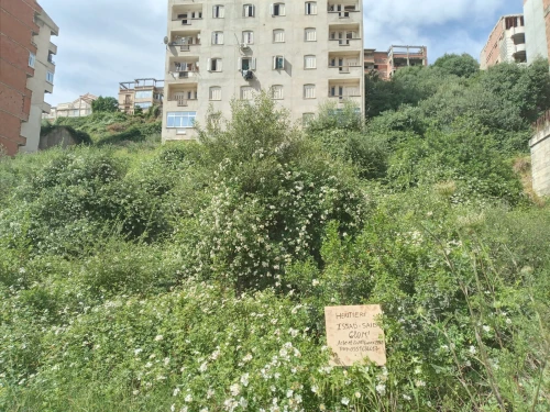 Vente Terrain Tizi Ouzou Tizi ouzou