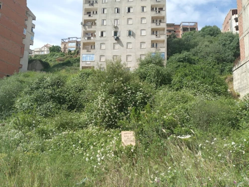 Vente Terrain Tizi Ouzou Tizi ouzou