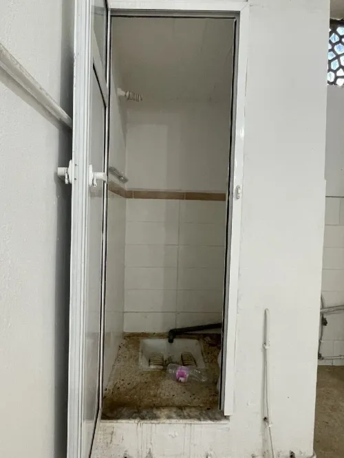 Location Local Appartement F3 Blida Mouzaia