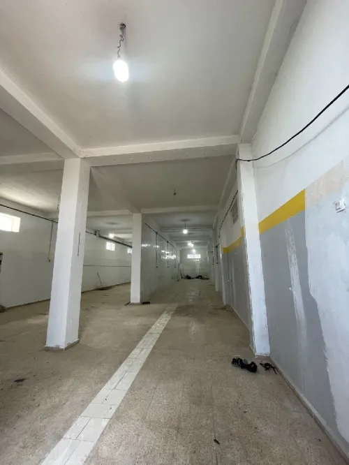 Location Local Appartement F3 Blida Mouzaia