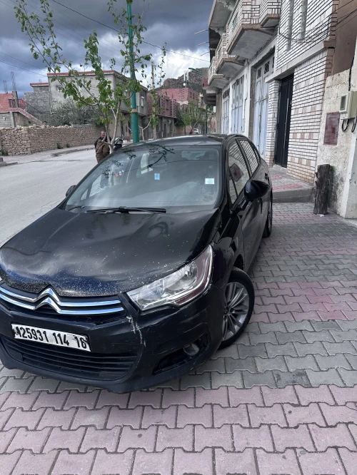 Citroen C4 2014 Vitamine