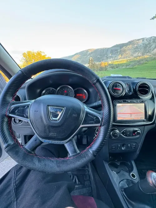 Dacia Stepway 2019 Techroad