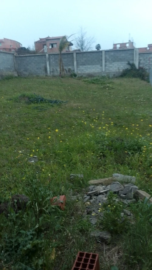 Vente Terrain Tizi Ouzou Tizi ouzou