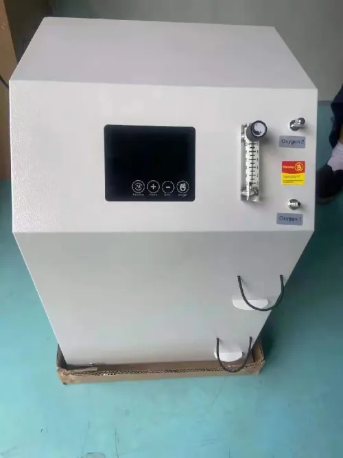 Concentrateur oxygène 10L