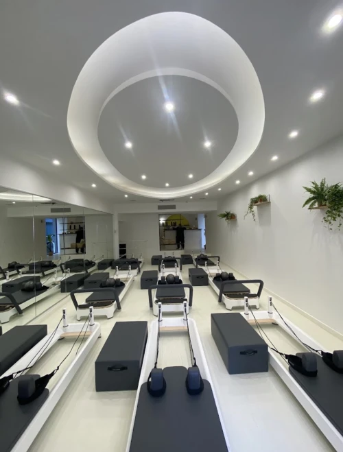 Pilates Reformer Professionnel