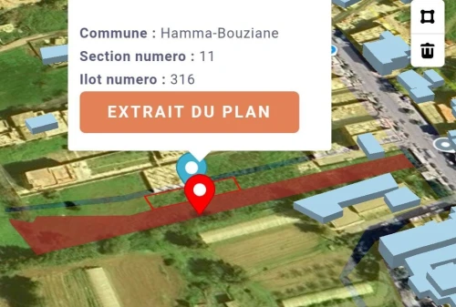 Vente Terrain Constantine Hamma bouziane