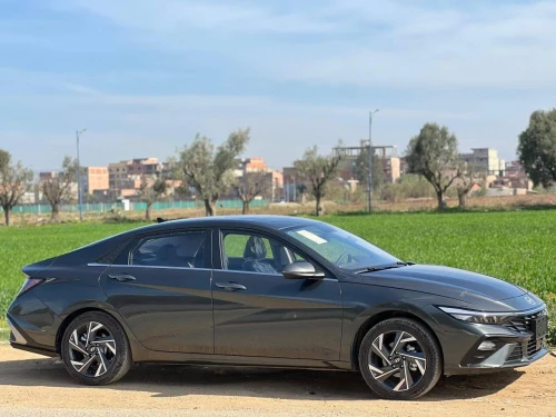 Hyundai Palisade 2025 Elantra