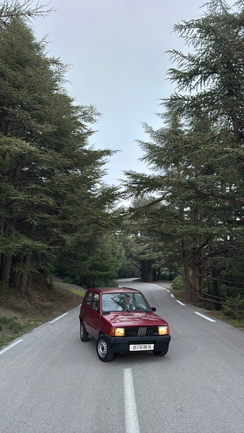 Fiat Panda 1986 Panda