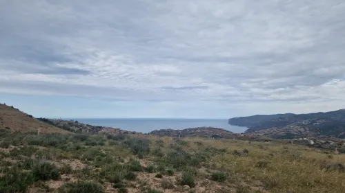 Vente Terrain Tlemcen Dar yaghmouracene