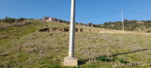 Vente Terrain Boumerdès Zemmouri