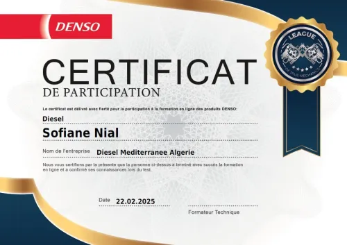 DISTRIBUTEUR OFFICIEL EN DIESEL INJECTEUR ET POMPE A INJECTION 