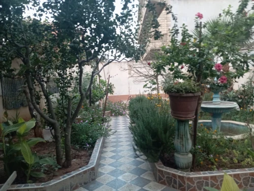 Vente Villa Alger Rouiba