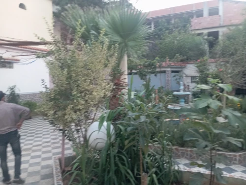 Vente Villa Alger Rouiba