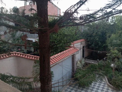 Vente Villa Alger Rouiba